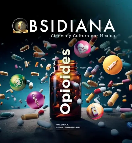 No. 8 Opioides