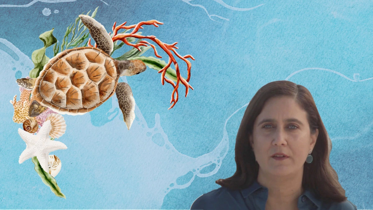 Sharon Herzka Llona: el reto de estudiar los mares mexicanos
