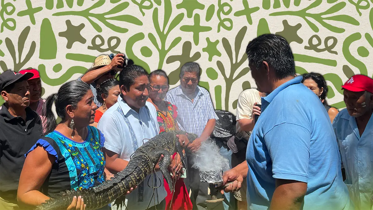 La boda de la lagarta, tradición de los chontales de la costa de Oaxaca