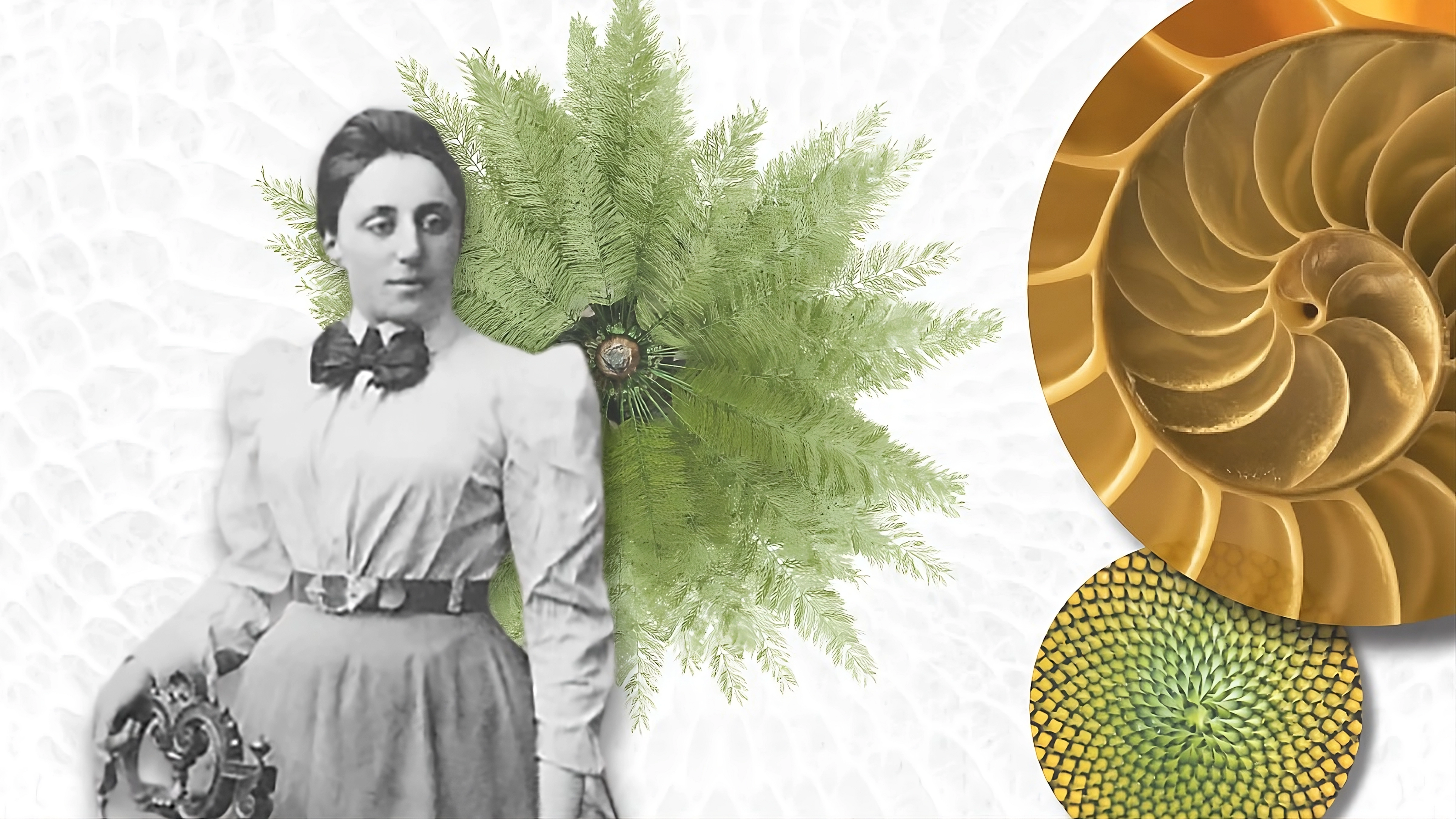 Emmy Noether y el más importante lenguaje de la naturaleza: las matemáticas de la simetría