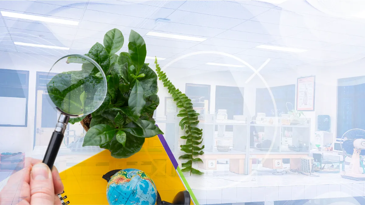 Educar para cuidar: el pensamiento crítico como base de la educación ambiental