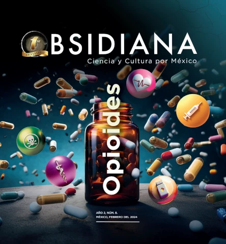 No. 8 Opioides