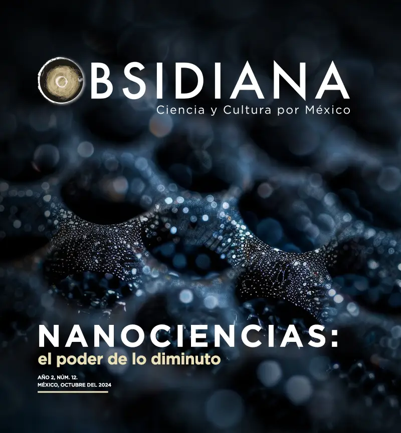 No. 12 Nanociencias